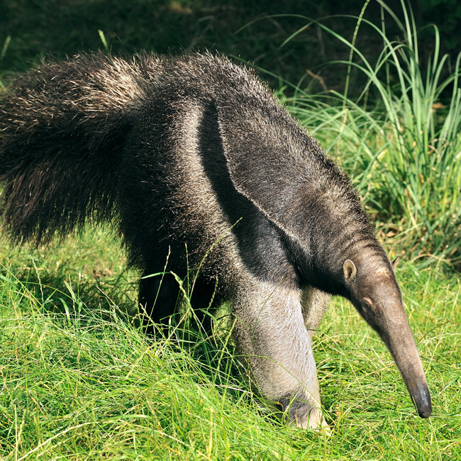 Jahreskarten Gutscheine