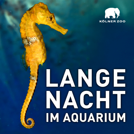 Lange Nacht im Aquarium