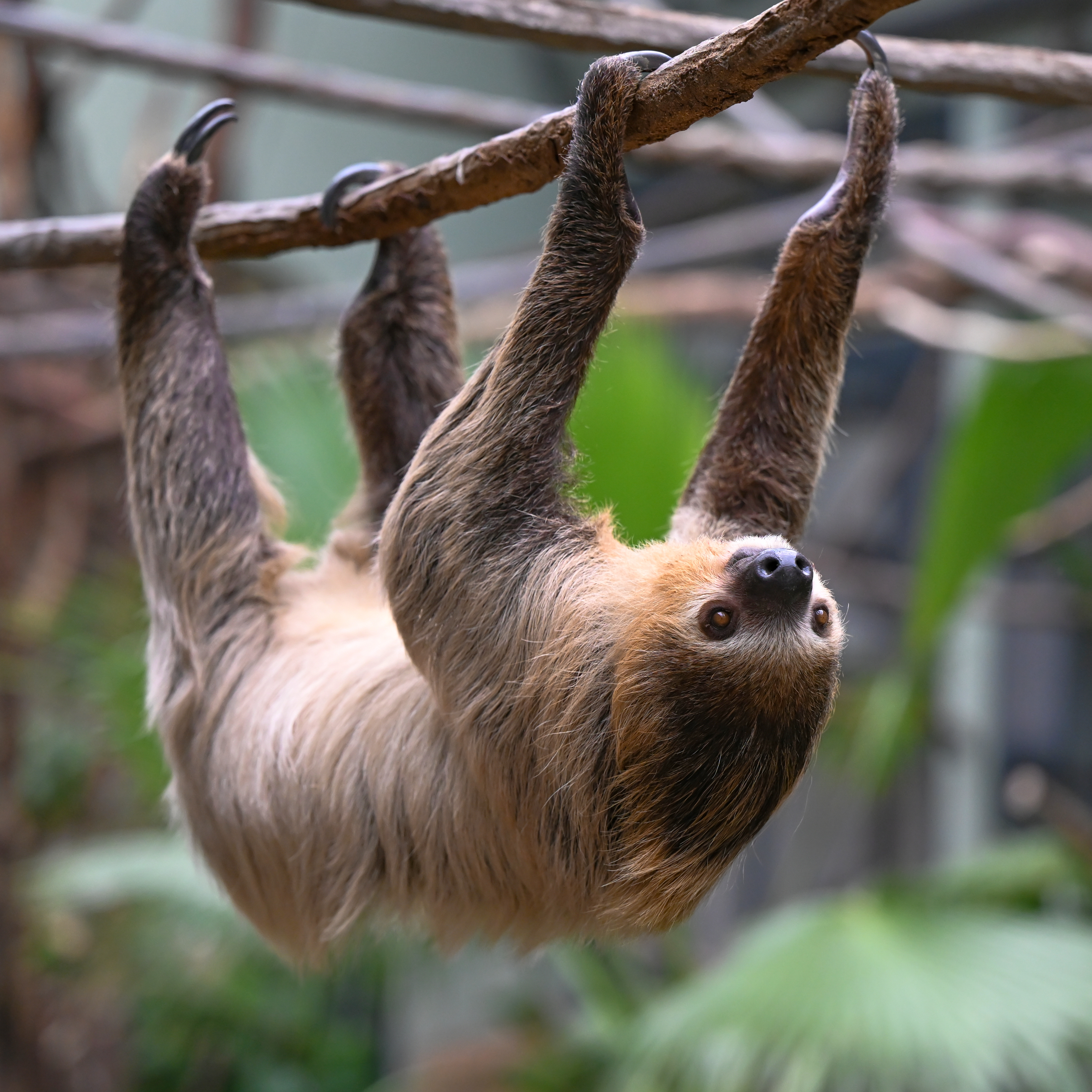 Jahreskartenverlängerung