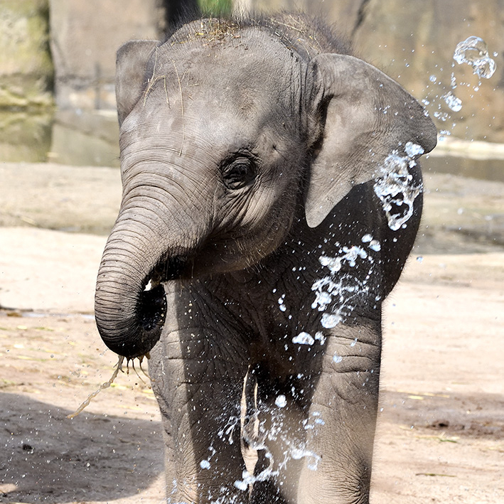 Familien Jahreskarte Schüler