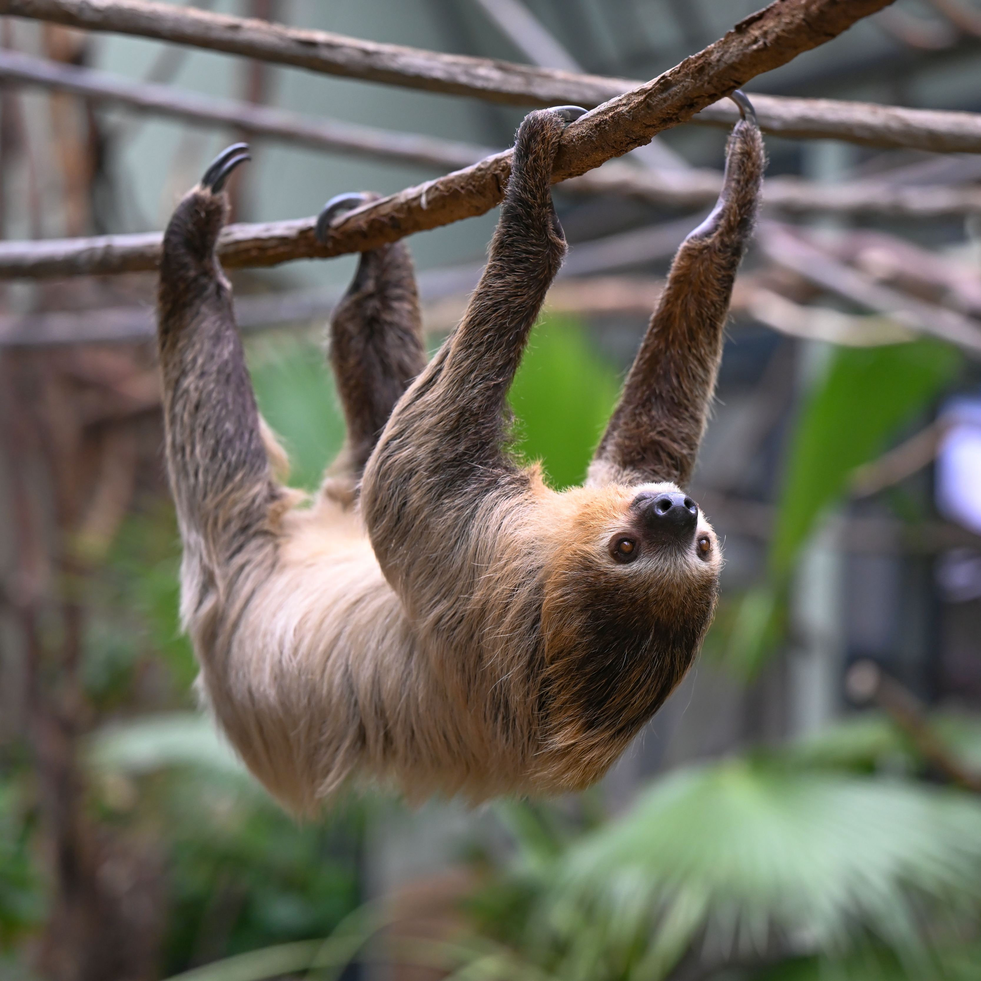 Jahreskarten Gültigkeit