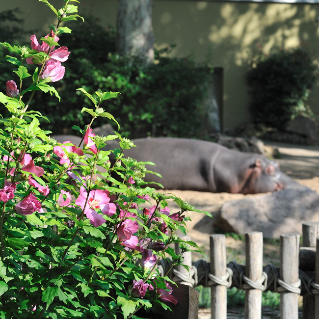 Wertgutschein Flexibel