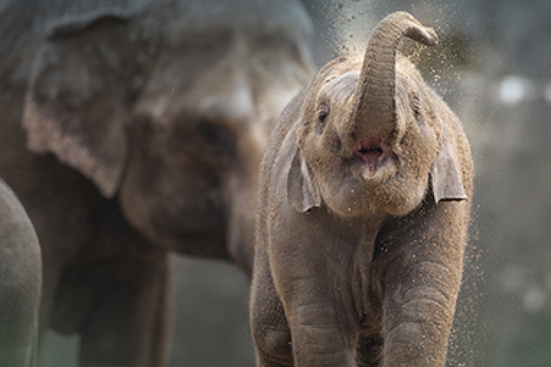 Bild für Online Vorteile genießen